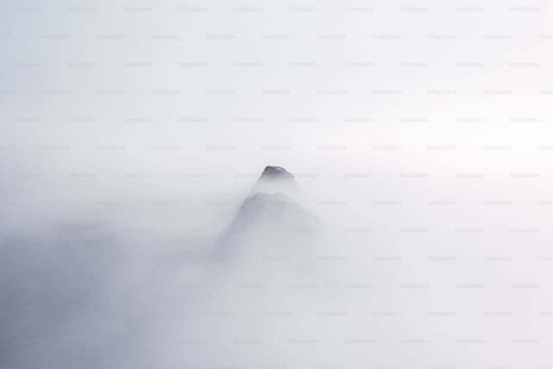 乾隆帝的“大玩具箱”初次展出!这场大展探求我国造物怎么慕“古”求“新”